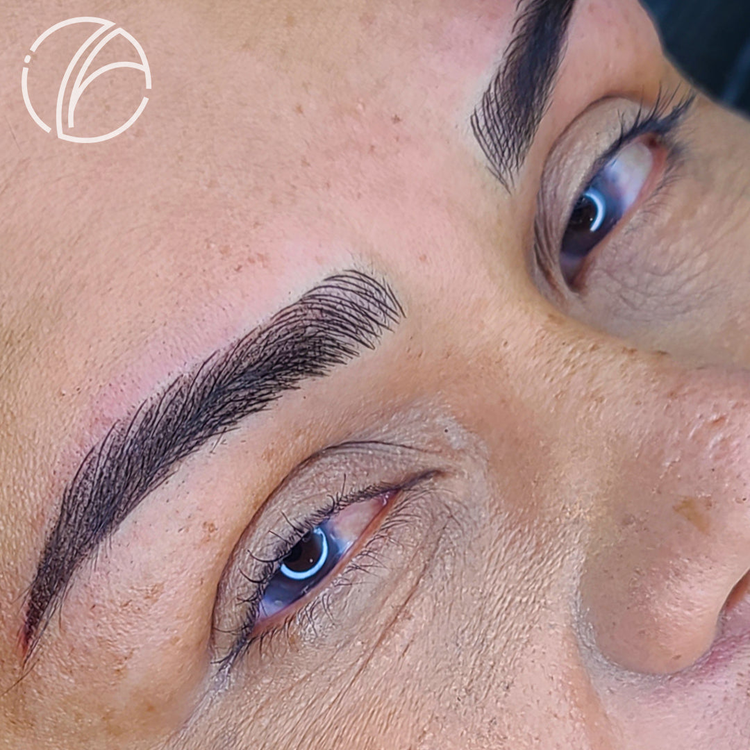 Iza Makeup © 3-IN-1 Cejas Capacitación En Linea | 8 Meses de Aceso