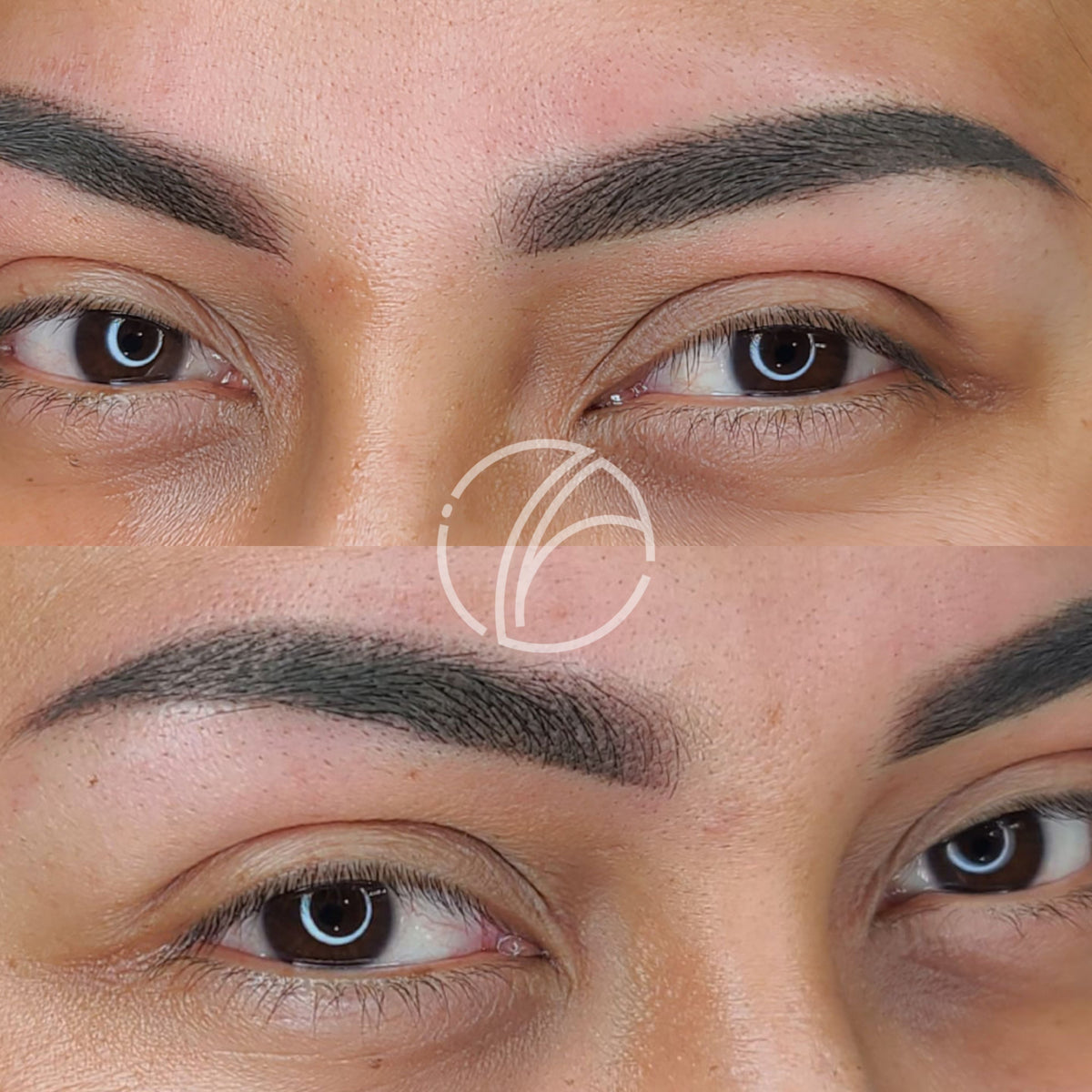 Iza Makeup © 3-IN-1 Cejas Capacitación En Linea | 8 Meses de Aceso