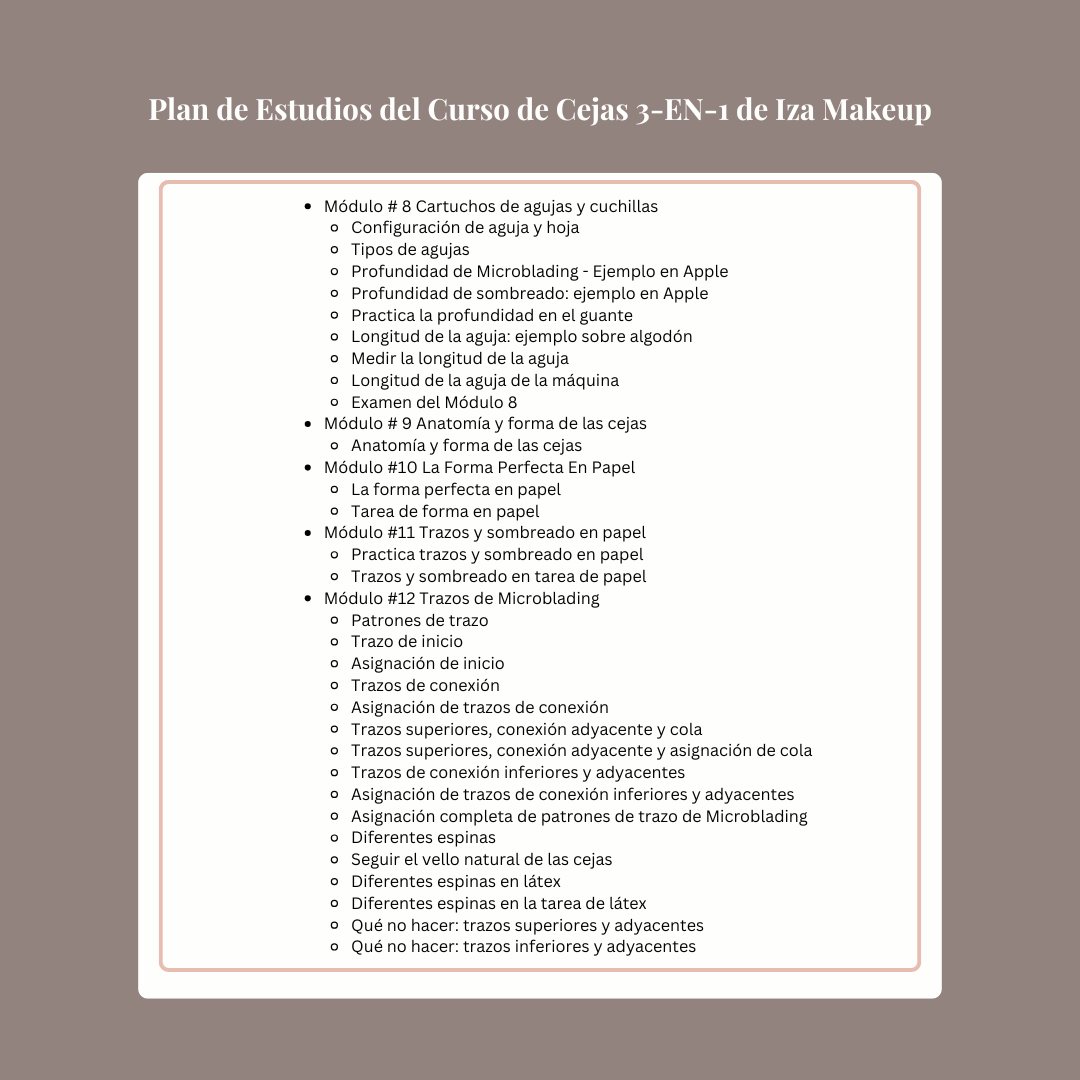 Iza Makeup © 3-IN-1 Cejas Capacitación En Linea | 8 Meses de Aceso
